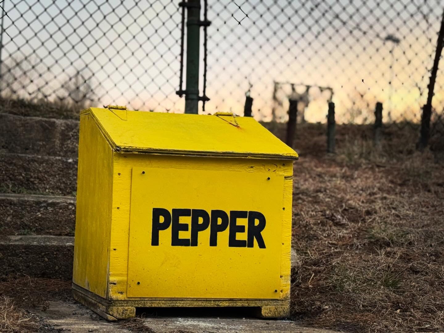 Saltbox Art on Poole St., Hampden.

Title: Pepper
Artist: ???

#baltimoresaltbox #saltboxart #saltbox #hampden #baltimore