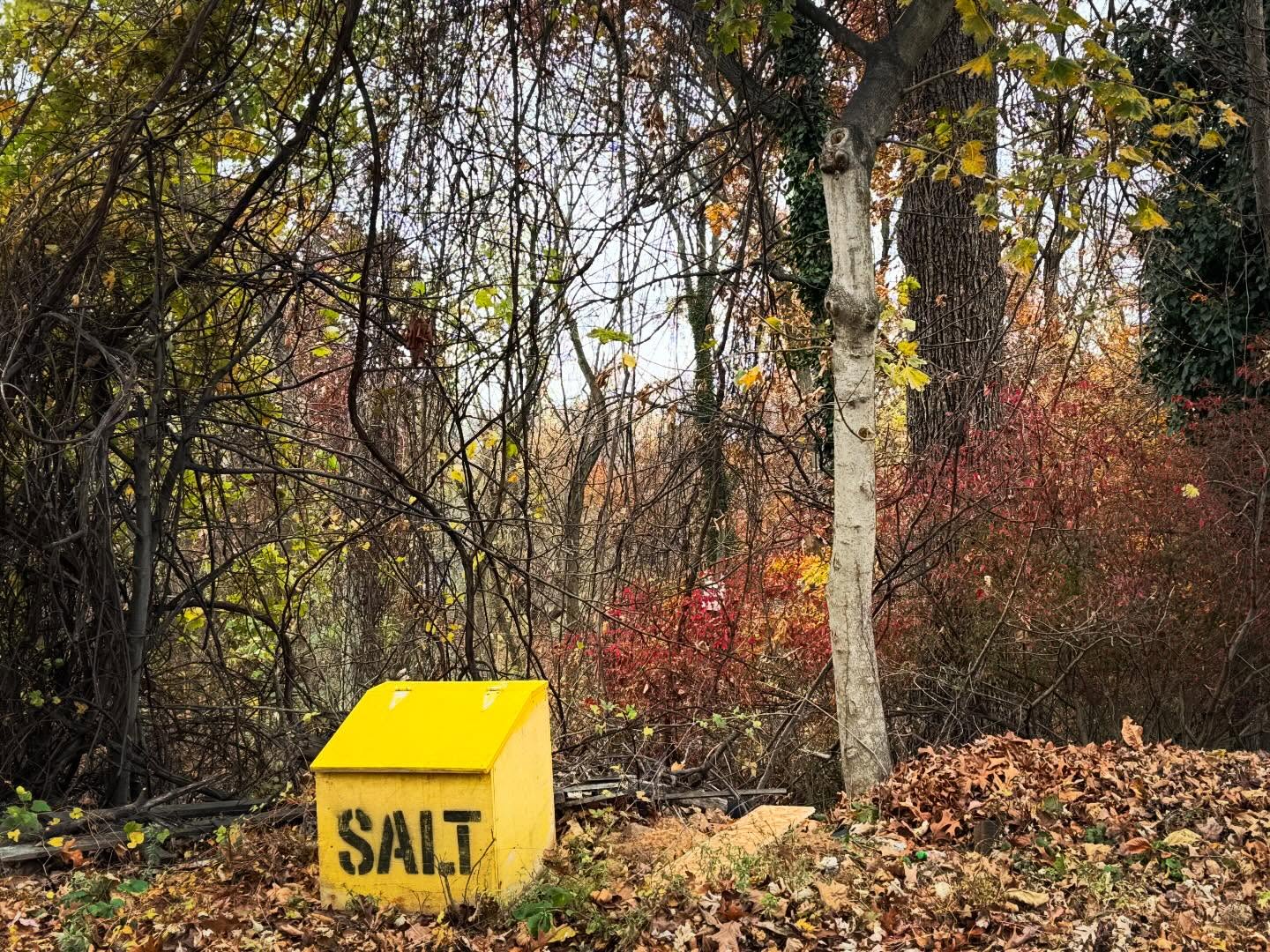 Saltbox on Wakefield Rd. and Tazawell Rd., West Forest Park. 

BTW: We have Baltimore Saltbox t-shirts, totes, and onesies! 100% of proceeds go to support Team Atomic’s (@team.atomic.baltimore) 2026 Ride For The Feast fundraising for Moveable Feast of Maryland (@mfeastbmore), which provides life-sustaining food as medicine to folks with HIV, AIDS, and cancer. Link to store in Bio. 

#baltimoresaltbox #saltbox #westforestpark #rideforthefeast2026 #baltimore